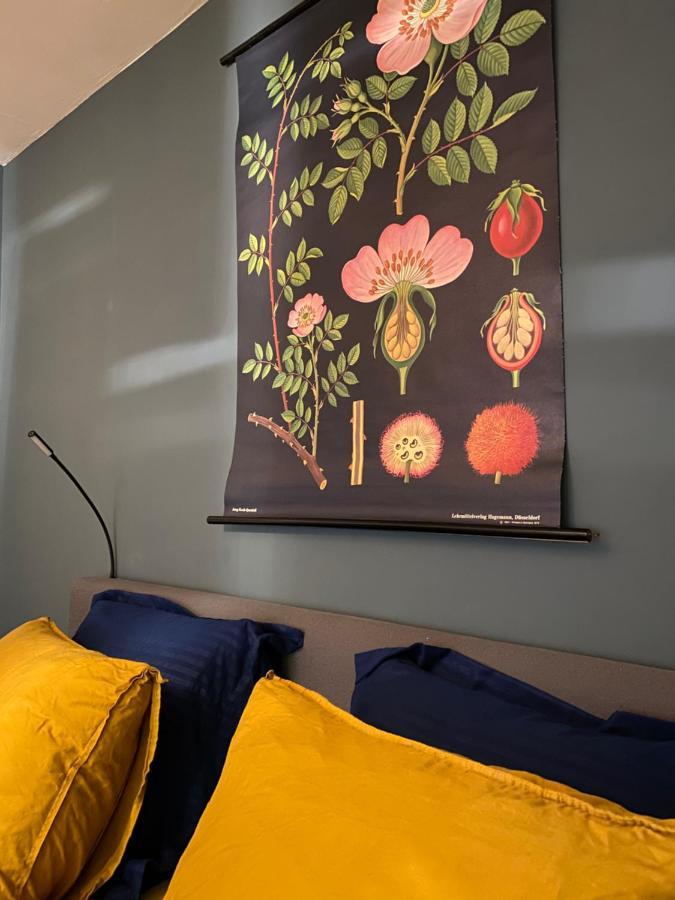 B&B Op De Soursehof Baexem Exteriér fotografie